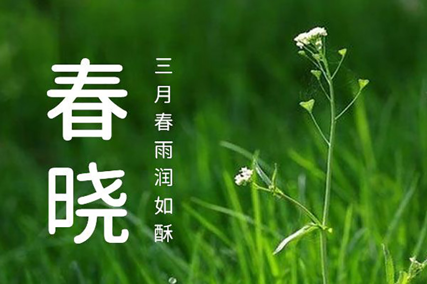 77款免费可商用字体大合集! 第 25 张 77款免费可商用字体大合集! 第 25 张