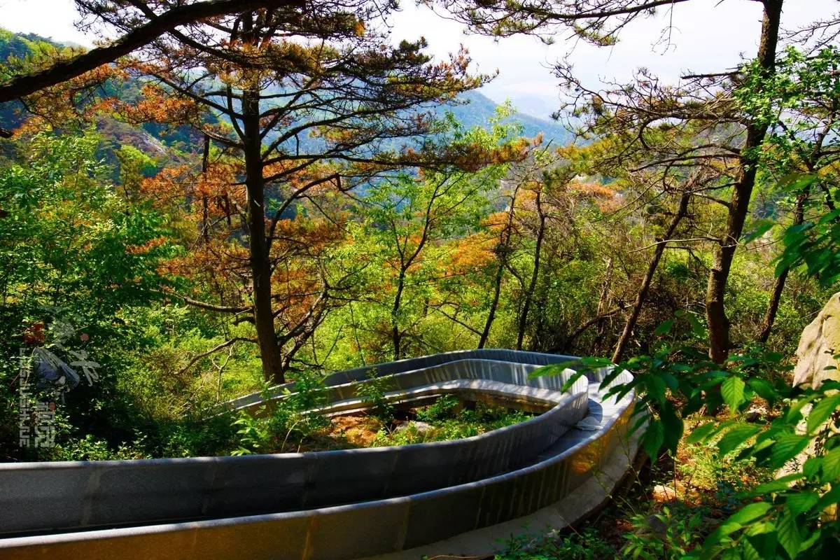 蒙山天蒙景区 第 9 张