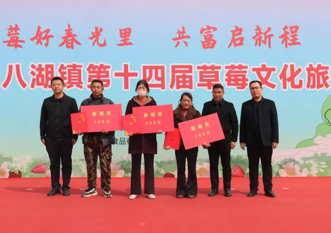 “莓”好春光里 共富启新程——河东区八湖镇第十四届草莓文化旅游节开幕啦！ 第 6 张